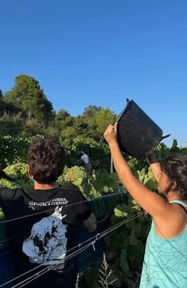 Mar Capdevila i Lluís Raventós d'Enlaire Vins treballant a la vinya